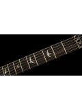 SE Custom 24 Floyd (Charcoal Burst) 2023, зображення 10